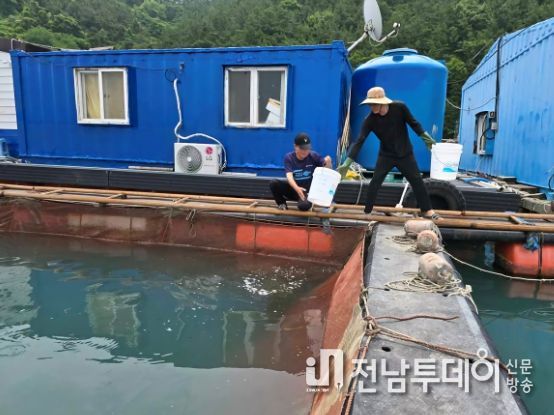 자연재해에 의한 양식수산물 피해 발생 시 재난복구비를 지원받을 수 있도록 양식어가의 입식·출하 신고를 당부했다.