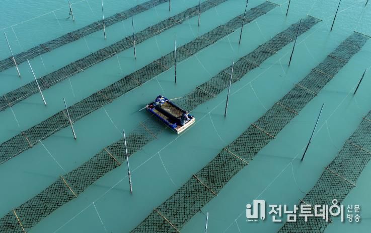 고소득어가- 김 양식장(신안) 사진