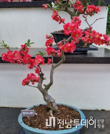 교육생이 만든 작품 전시 사진