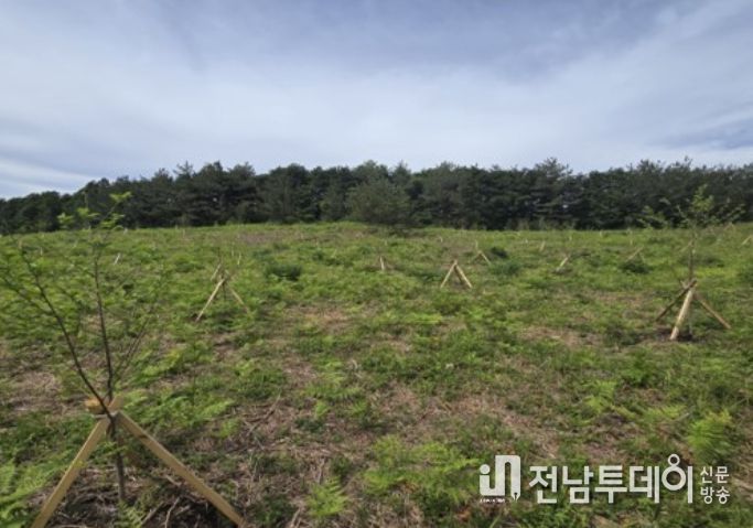 꿀벌의 안식처 밀원수림 조성