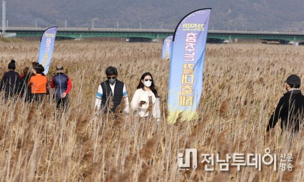 지난해 열린 강진만 춤추는 갈대축제를 관광객들이 즐기고 있다.