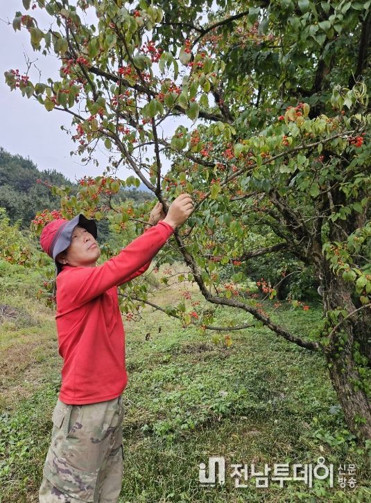 이달의 임업인 정조명 대표