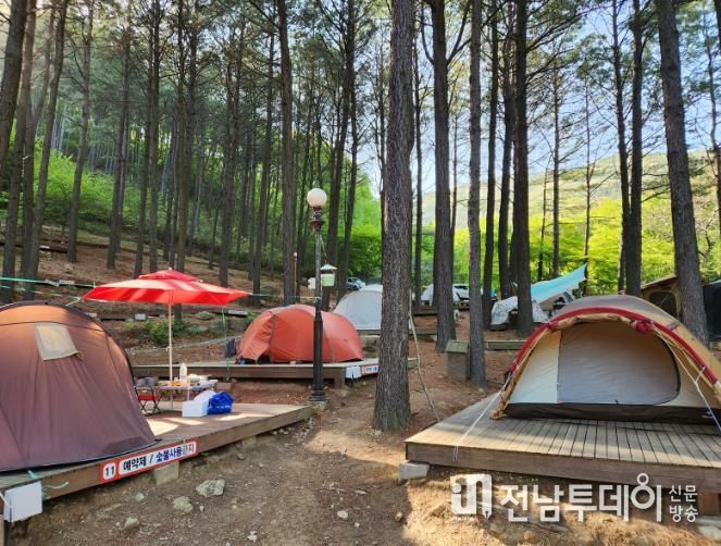 보성군, 제2회 전라남도지사배 숲속 캠핑대회 팡파르