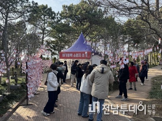 ‘섬 겨울꽃 축제’, 신안의 매력을 다시 한번 확인