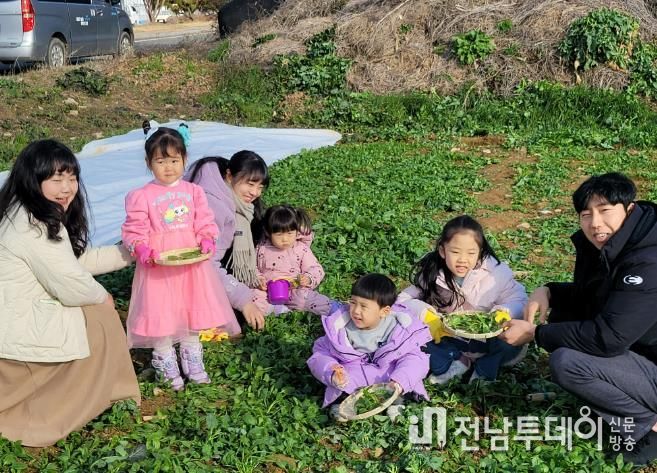 지난해 청자축제 때 봄나물 캐는 모습.