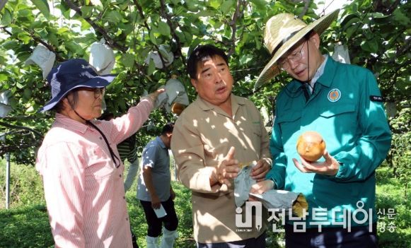 나주시, 일소 피해 배 농가에 농자재 구매 지원 … 7억1천만원 투입