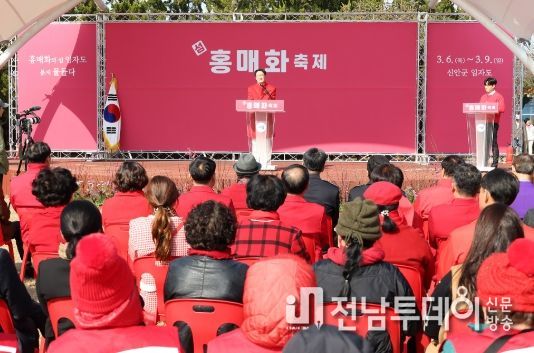 신안군 ‘2025 섬 홍매화축제’기다림 끝에 개막!