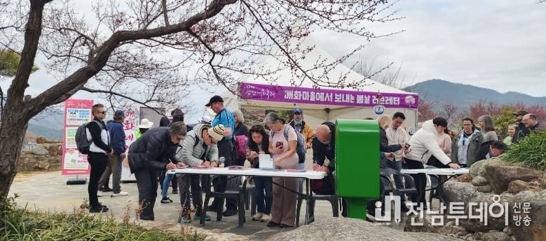 제24회 광양매화축제, 야속한 개화율...아쉬움 속 대단원의 막 - 관광과(봄날 러브레터).