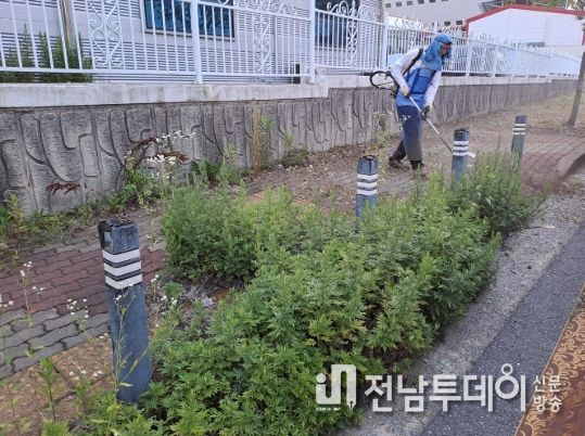 광산구가 추석을 맞아 주요 도로 예초 작업을 진행하고 있다.