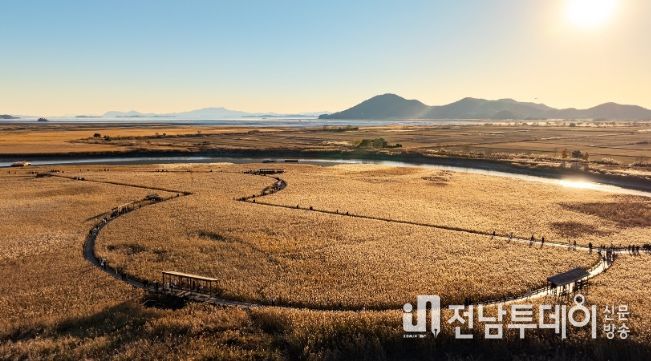 제26회 순천만 갈대축제 개최