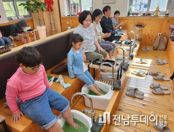 전라남도교육청, ‘녹차 족욕 체험’사진