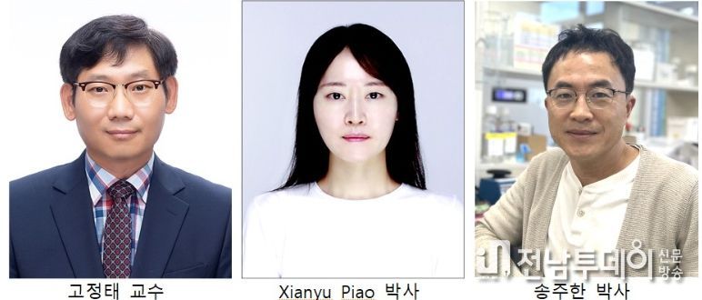 치의학전문대학원 연구진