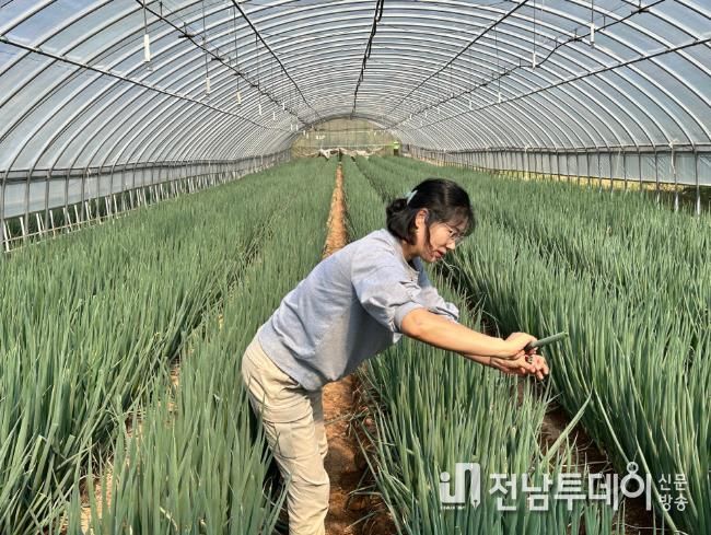 대파 생육 상황을 살펴보고 있는 모습.