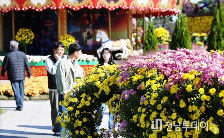2025 대한민국 국향대전 회전목마 포토존, 국화 만개 전경