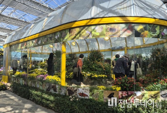 국향 속 나비의 날갯짓…함평군, 생태축제의 새 장 열다