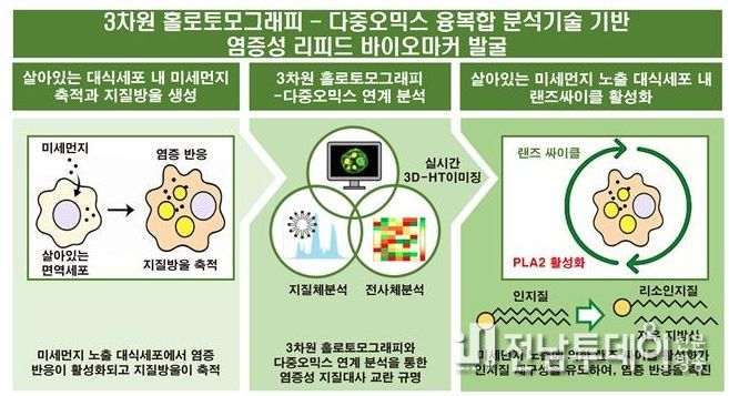 그림 연구관련 이미지