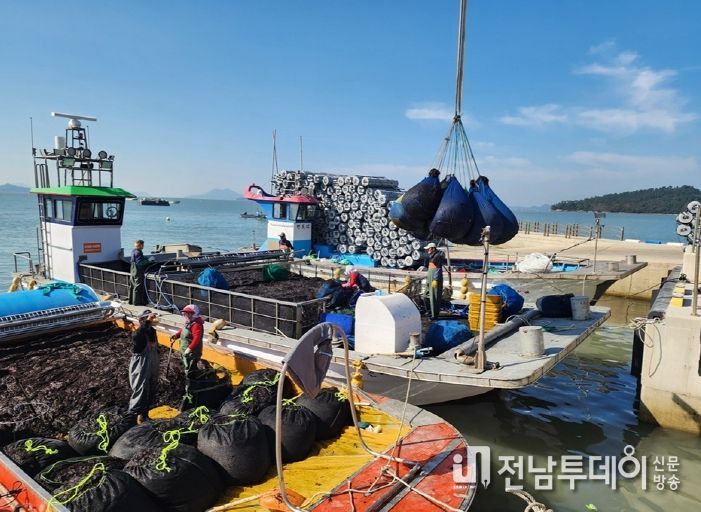 입찰 결과에 따른 물김 상차작업