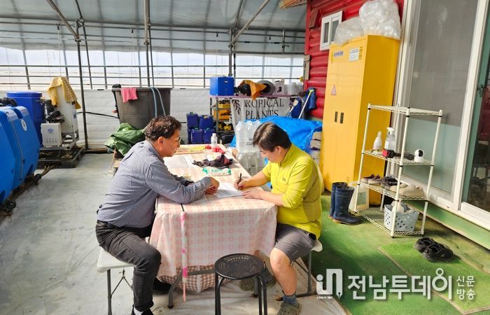 딸기 농가 컨설팅