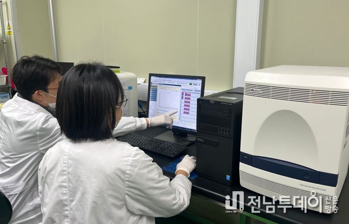 노로바이러스 검사