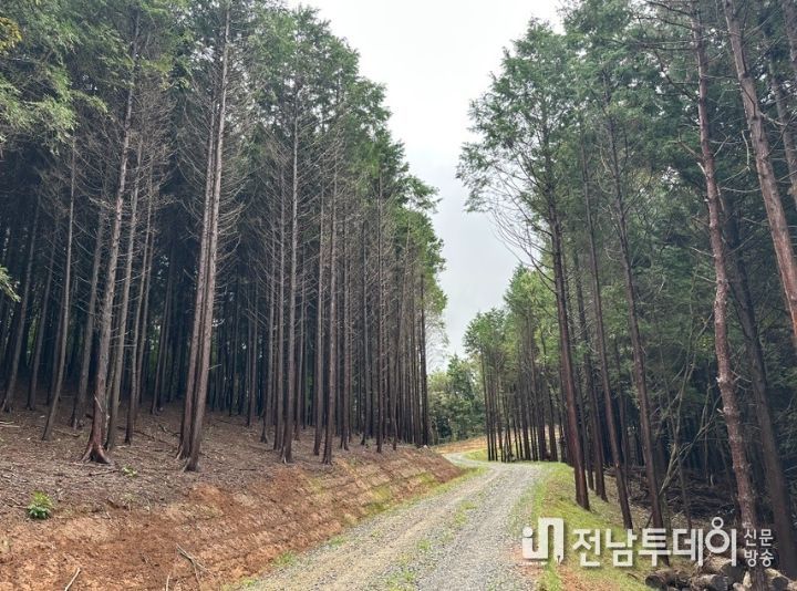 산림청 임도 우수사례 평가 ‘우수기관’ 선정