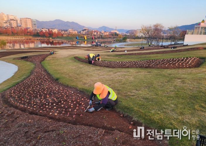 순천시 오천그린광장, 2026년 봄꽃 7만본 식재