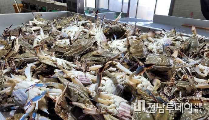 진도군, 해양수산부 공모사업 선정