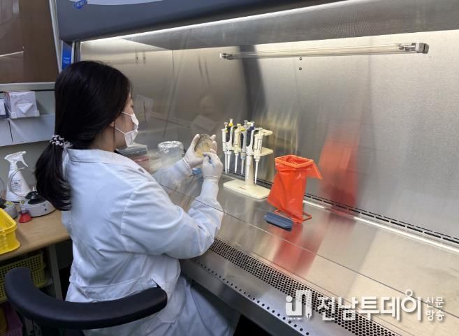 감염병 관련 실험 사진