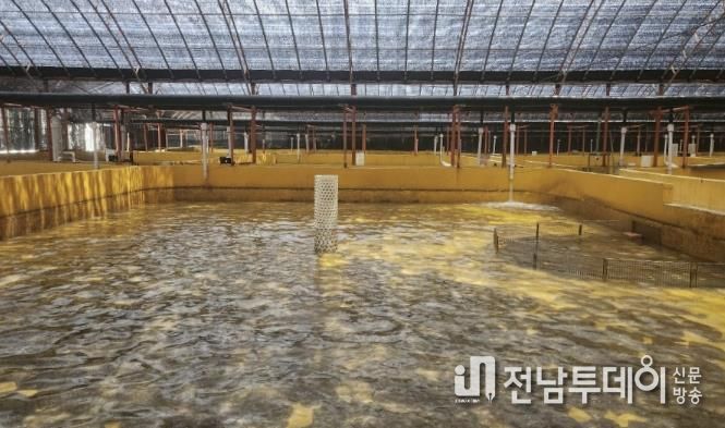 완도 광어 양식장