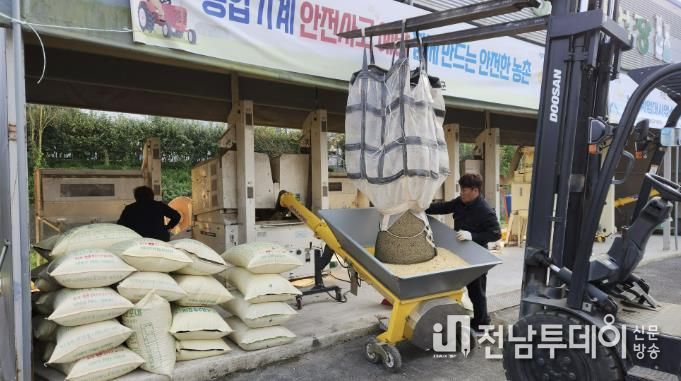 콩 정선 작업 사진