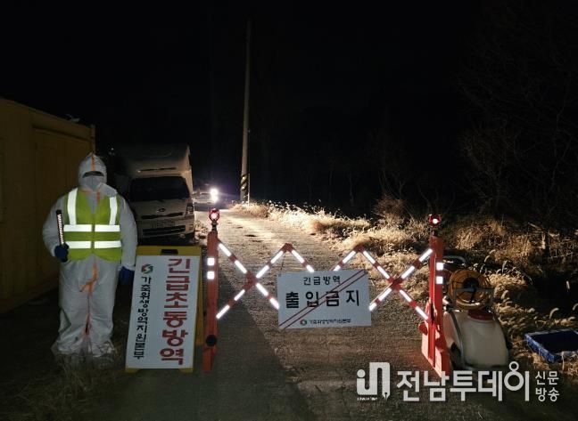 농장 반역 사진