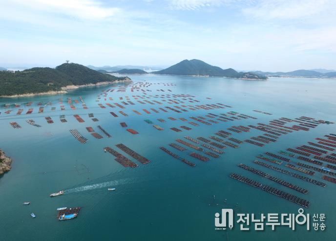완도 전복 양식장 전경