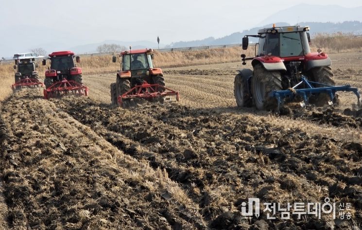 영광군, 왕우렁이 월동 방지 위한 선제 대응 추진