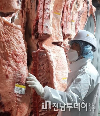 설 안전 축산물 공급- 도축 검사, 축산물 검사 사진