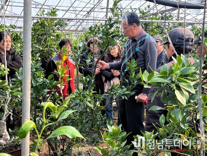 여수시, 고품질 과실 생산을 위한 정지·전정 현장 교육