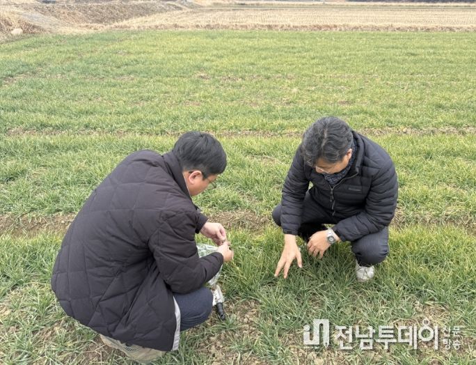 , 맥류·마늘·양파 등 ‘생육 재생기’ 현장 지도 강화