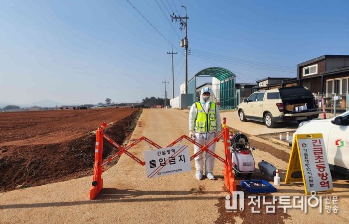 아프리카돼지열병 방역 현장