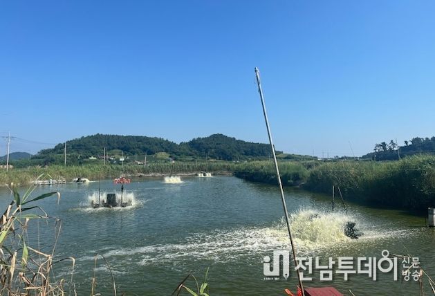 영광군, 수산양식생물 입식‧출하‧판매 신고 이행 당부