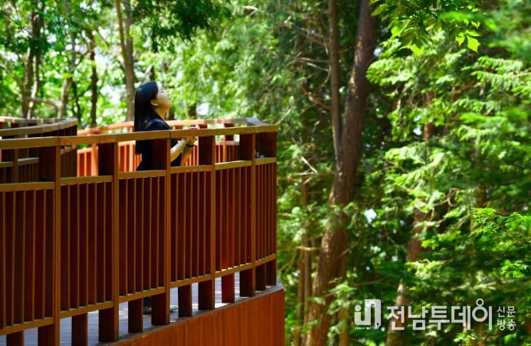 장성 축령산 하늘숲길을 찾은 관광객.