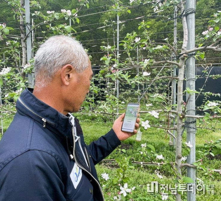 310농가 231헥타르 규모 약제 지원