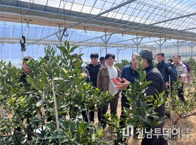 만감류 재배 현장 컨설팅