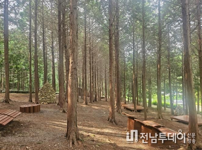 ‘지붕 없는 미술관’ 고흥으로 떠나는 봄맞이 3색 트레킹 - 팔영산 편백치유의 숲