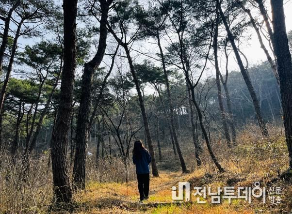 국립나주숲체원, 봄맞이 걷기 숲길 추천