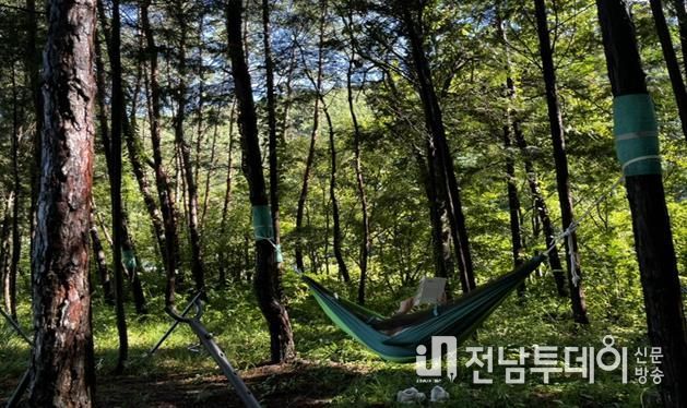 산림치유프로그램 운영 사진. 국립나주숲체원 화순치유의숲 제공