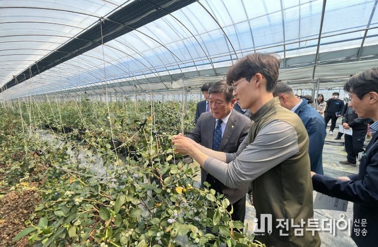 곡성군 관계자들이 블루베리 농가를 찾아 현장의 애로사항을 청취하고 있다.