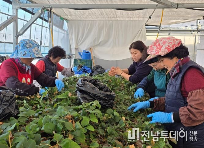 여성농업인 활동 사진