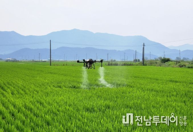 벼 병해충 공동 항공방제 지원 사업 신청 접수