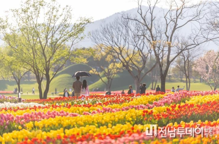 형형색색의 튤립이 물결치는 순천만국가정원 노을정원