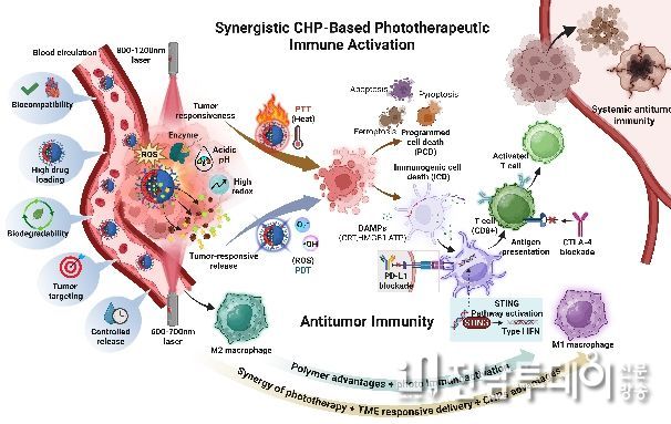 차세대 암 광면역치료 로드맵 제시