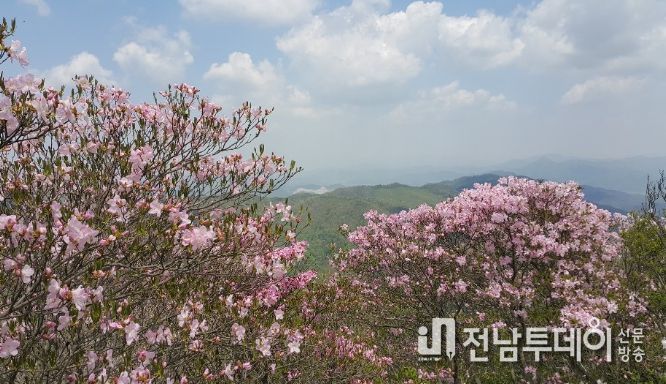 ‘제18회 화학산 고산 철쭉제’ 개최
